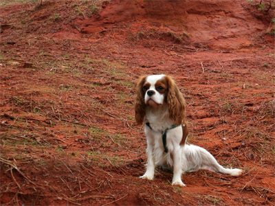 Roussillon ocre